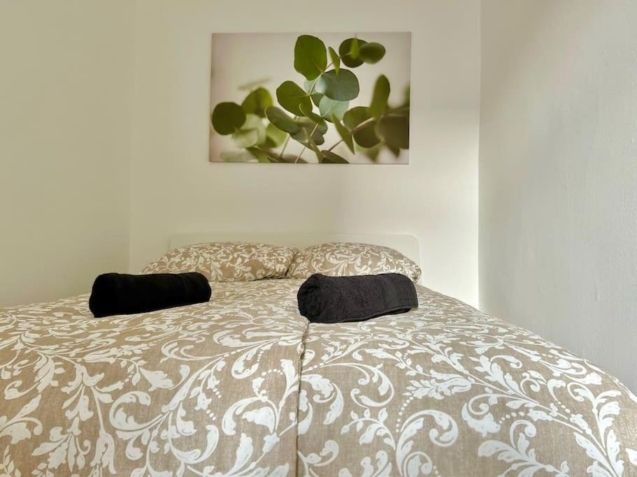 Apartment 50 M2 Stylish With Free Parking
